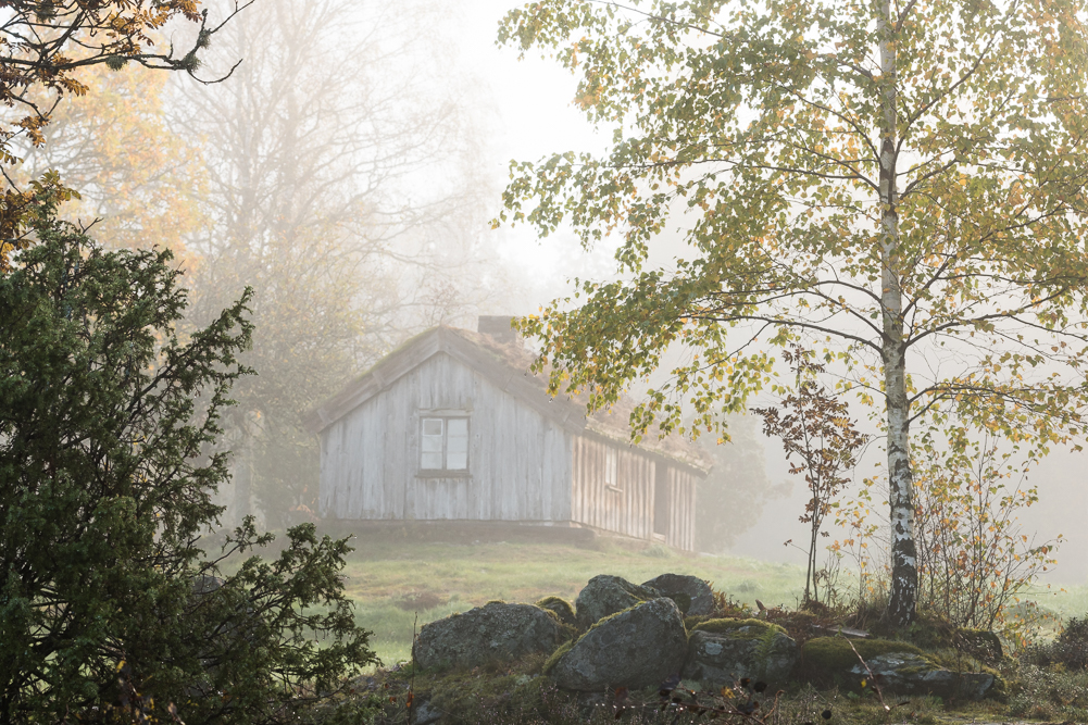 Cottage in the mist