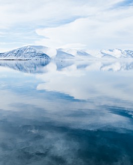 Svalbard, dag VII: På spegelblankt vatten.